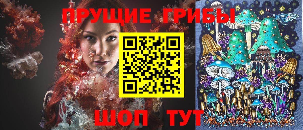 Галлюциногенные грибы Psilocybe Ефремов