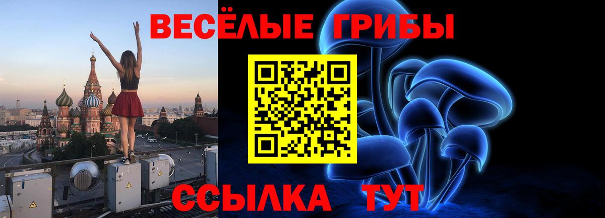 Галлюциногенные грибы мицелий  Вход с VPN  наркошоп  Ефремов  Галлюциногенные грибы мухоморы 